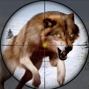Wild Animal Hunting - How many animals can you hunt?